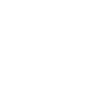 White Instagram logo icon